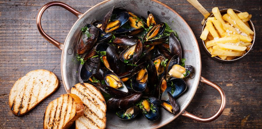 Suspendisse arcu nisl